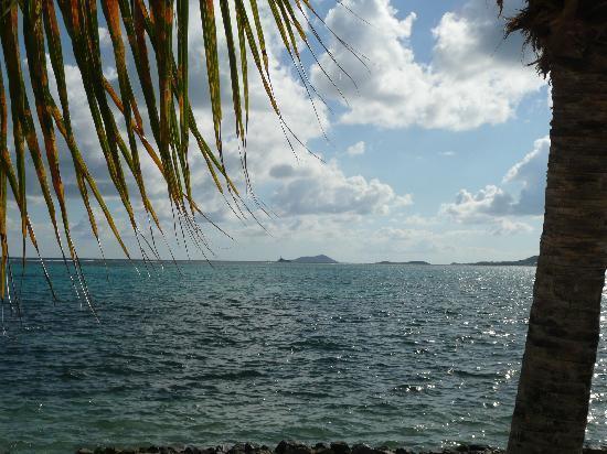 Club St. Croix Beach And Tennis Resort Christiansted Dış mekan fotoğraf